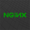 nginx logo